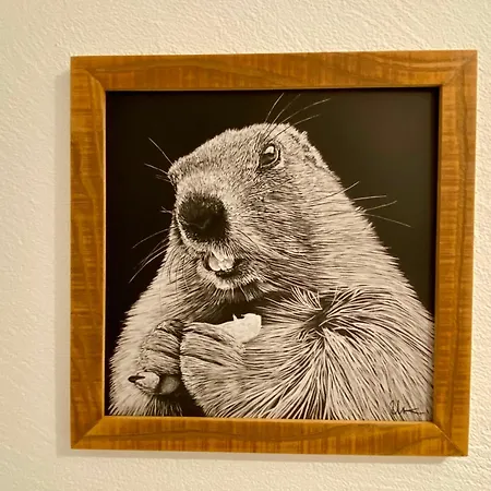 House & Living Junbi لاكس