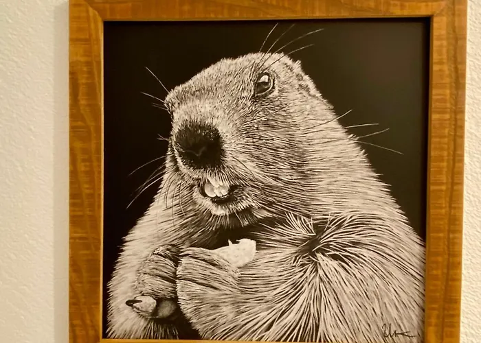 House & Living Junbi Laax