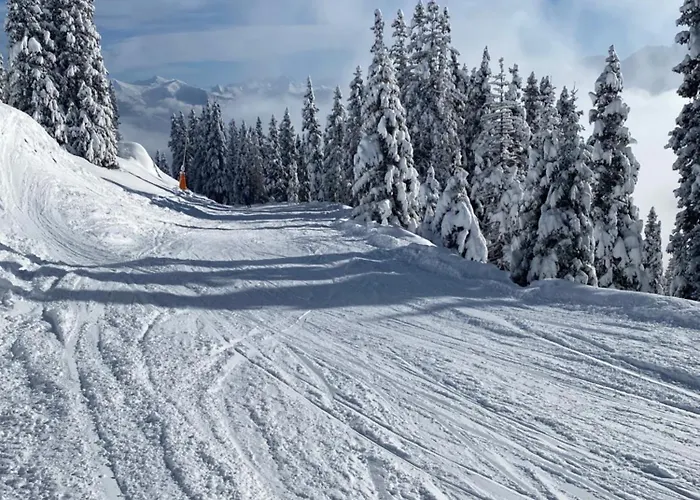 Apartment House & Living Junbi *